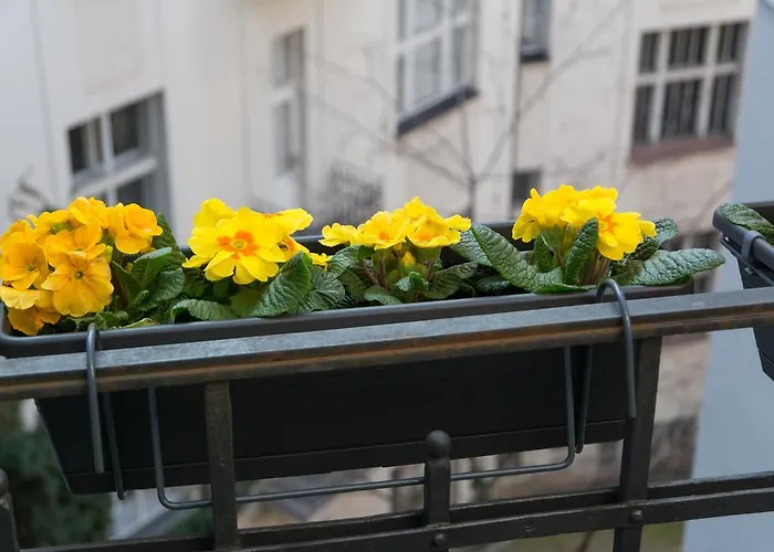 Apartamento Maiselova House Praga